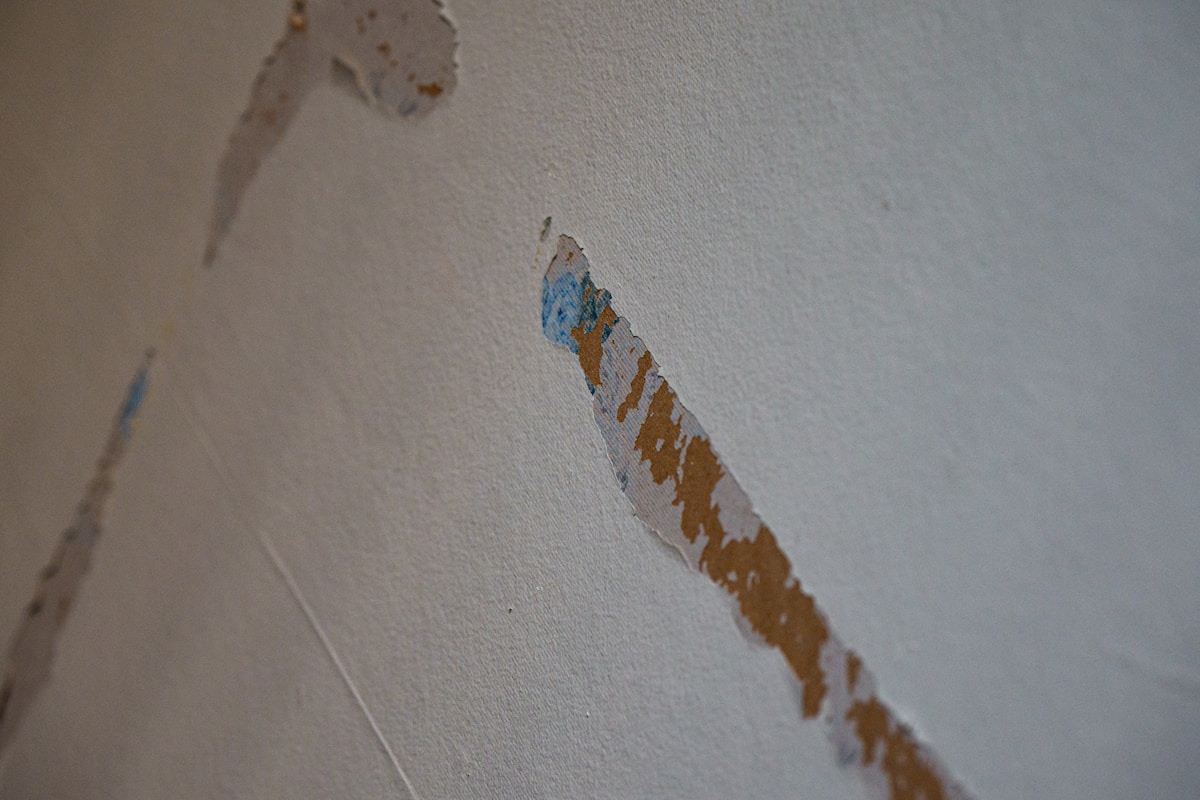 Flood Cleanup service in Shoreline, WA